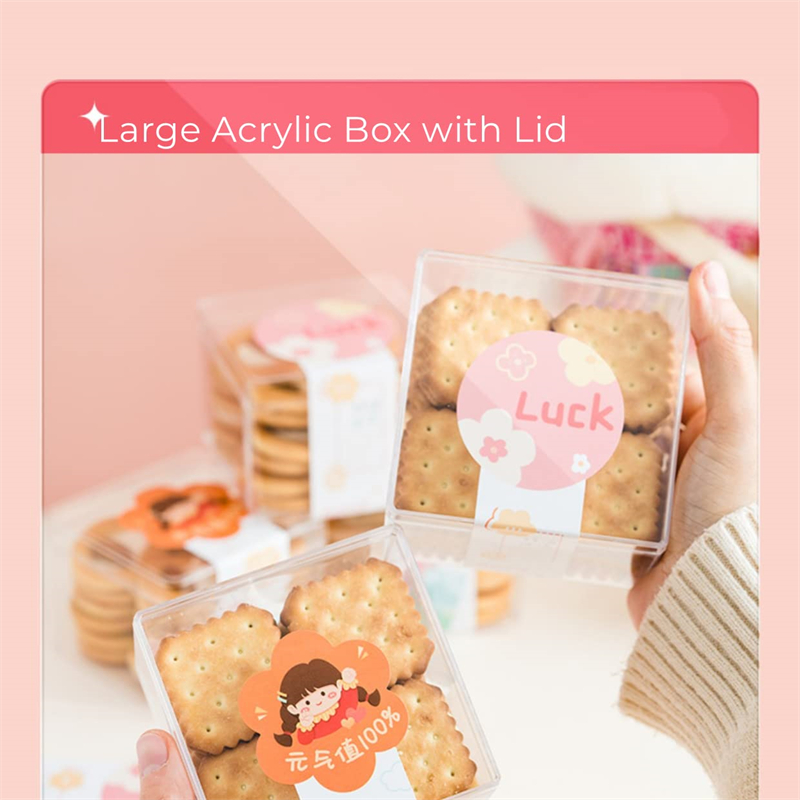 1-20 Stuks Transparante Acryl  - Xmas Food Storage Containers recensie en prijs