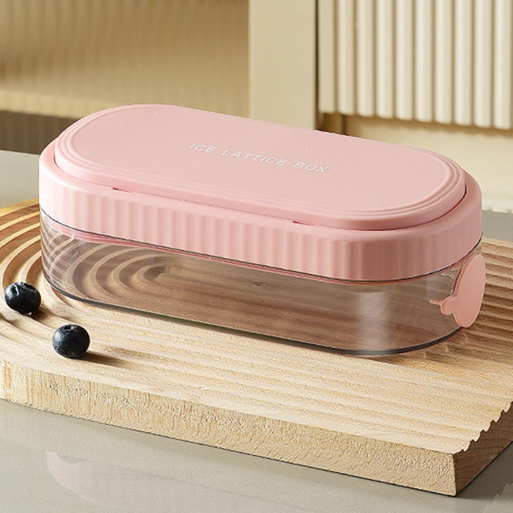 IJsblokjesvorm van voedselveil - Food Storage Types recensie en prijs