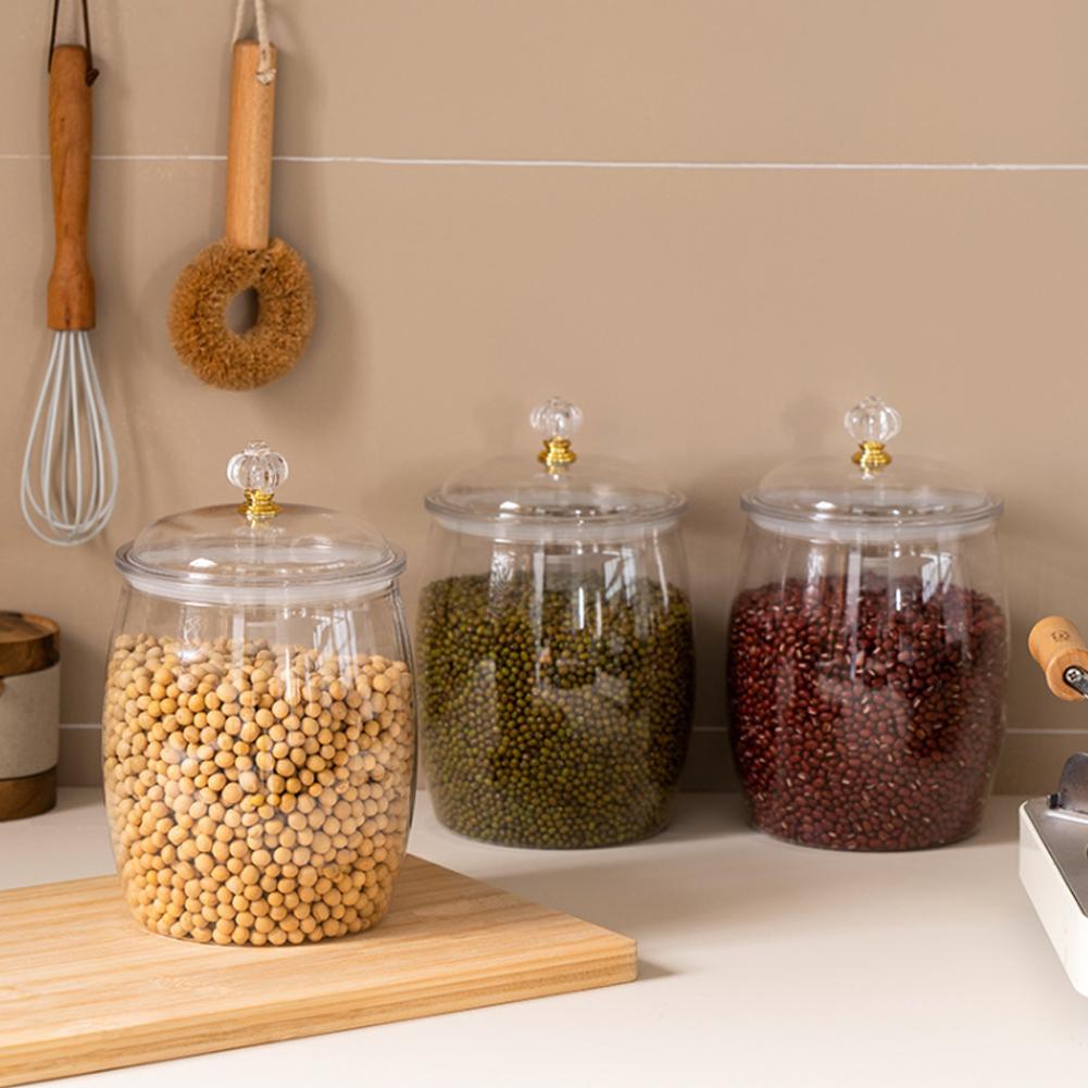 Grote transparante plastic afg - Food Storage Containers With Lids recensie en prijs